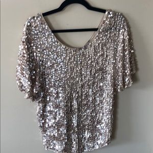 Zara Sequin Blouse with V back